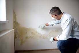 Reliable North Massapequa, NY Mold Remediation Solutions